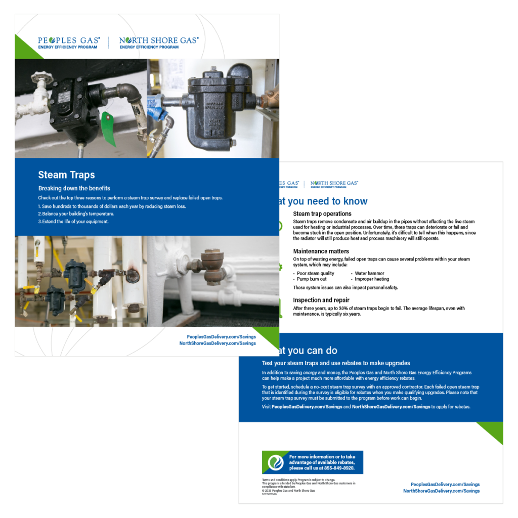 Steam Traps product-img_fs-steam-traps